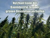 Nutzhanf kann der Bauindustrie zu einer grünen Revolution verhelfen Nutzhanf kann der Bauindustrie zu einer grünen Revolution verhelfen