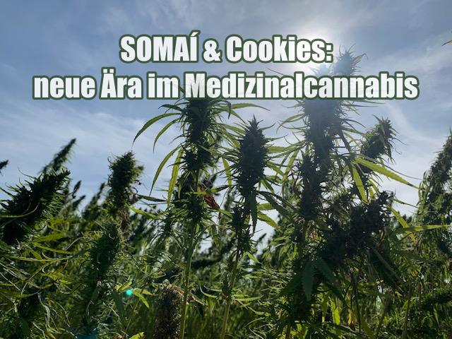 SOMAÍ & Cookies: neue Ära im Medizinalcannabis