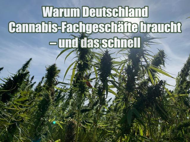 Warum Deutschland Cannabis-Fachgeschäfte braucht – und das schnell