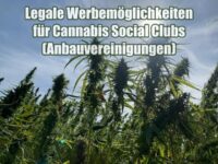 Legale Werbemöglichkeiten für Cannabis Social Clubs (Anbauvereinigungen) buchen Legale Werbemöglichkeiten für Cannabis Social Clubs (Anbauvereinigungen)