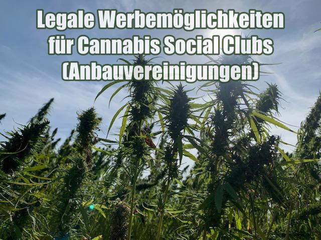Legale Werbemöglichkeiten für Cannabis Social Clubs (Anbauvereinigungen)