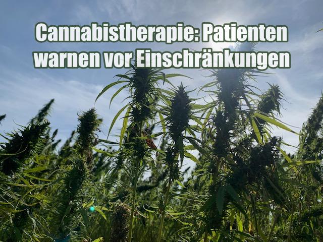 Cannabistherapie: Patienten warnen vor Einschränkungen