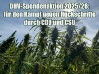 DHV-Spendenaktion 2025/26: für den Kampf gegen Rückschritte durch CDU und CSU DHV-Spendenaktion 2025/26: für den Kampf gegen Rückschritte durch CDU und CSU