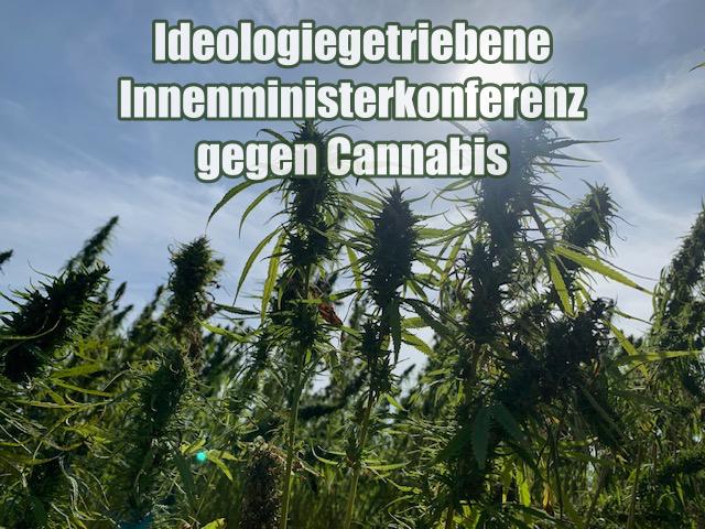 Ideologiegetriebene Innenministerkonferenz gegen Cannabis