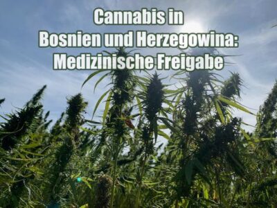 Cannabis in Bosnien und Herzegowina: Medizinische Freigabe
