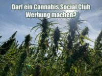 Darf ein Cannabis Social Club Werbung machen?