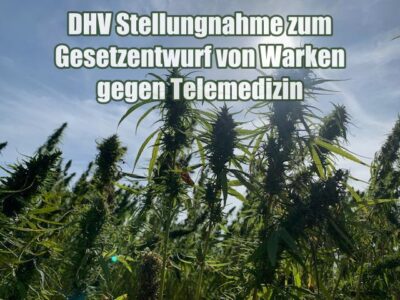 DHV Stellungnahme zum Gesetzentwurf von Warken gegen Telemedizin