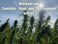 Mietkauf von Cannabis-/Hanf- und CBD-Domains erklärt Mietkauf von Cannabis-/Hanf- und CBD-Domains erklärt