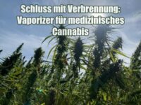 Schluss mit Verbrennung: Warum der Vaporizer die einzig wahre Option für medizinisches Cannabis ist