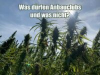 Was dürfen CSCs und was nicht?