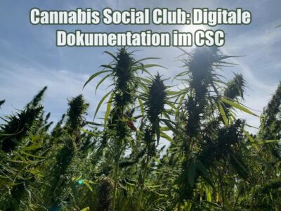 Cannabis Social Club: Digitale Dokumentation im CSC