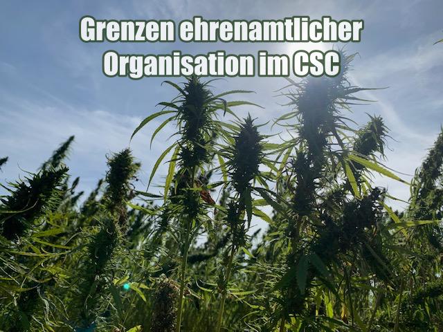 Grenzen ehrenamtlicher Organisation im CSC