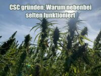 CSC gründen: Warum nebenbei selten funktioniert