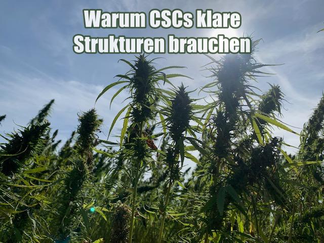 Warum CSCs klare Strukturen brauchen