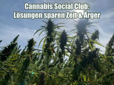 Cannabis Social Club: Lösungen sparen Zeit & Ärger