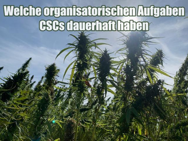 Welche organisatorischen Aufgaben CSCs dauerhaft haben