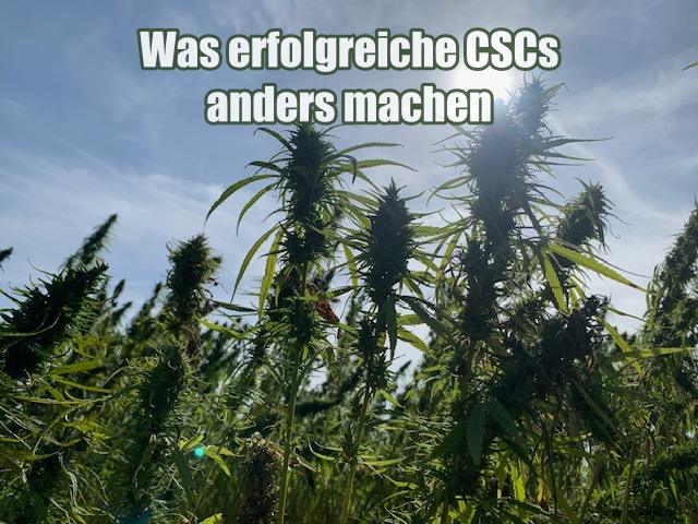 Was erfolgreiche CSCs anders machen