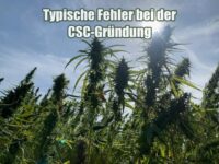 Typische Fehler bei der CSC-Gründung
