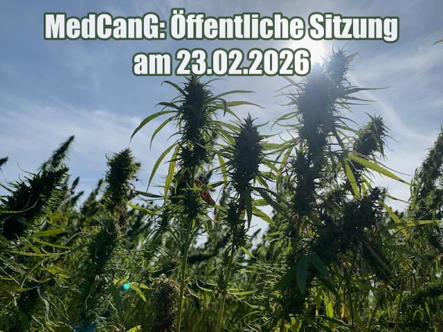 MedCanG: Öffentliche Sitzung des Petitionsausschusses am 23.02.2026