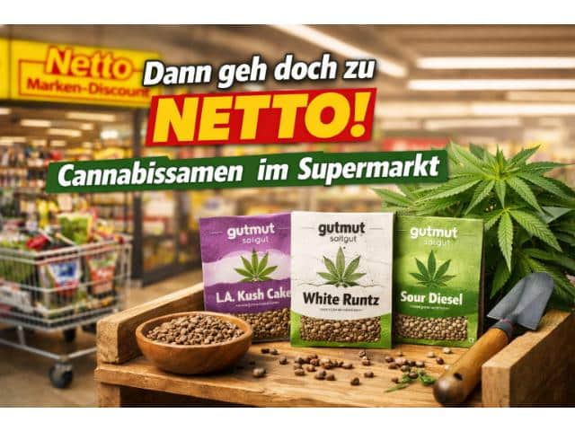 krutermischung saatgut BIO Petersilie Samen glatt