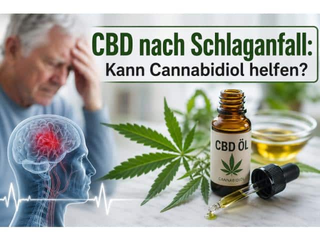 CBD nach Schlaganfall: Kann Cannabidiol helfen?