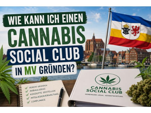 Wie kann ich einen Cannabis Social Club in Mecklenburg-Vorpommern gründen?