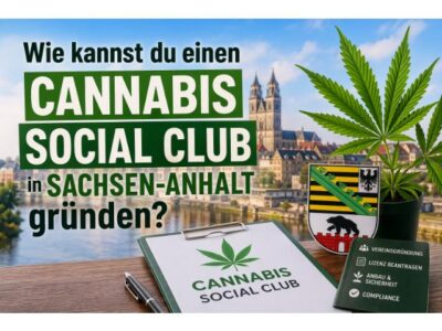 Wie kannst du einen Cannabis Social Club in Sachsen-Anhalt gründen?