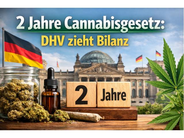 2 Jahre Cannabisgesetz: DHV zieht Bilanz