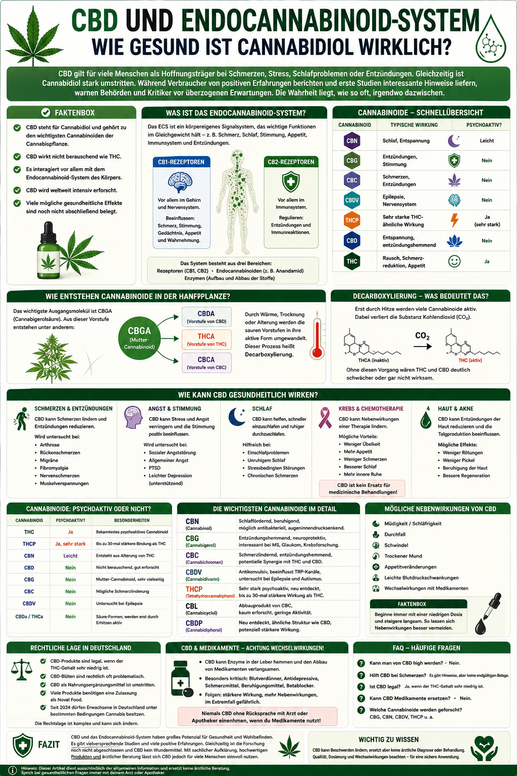 Wie wirkt CBD im Endocannabinoid-System?