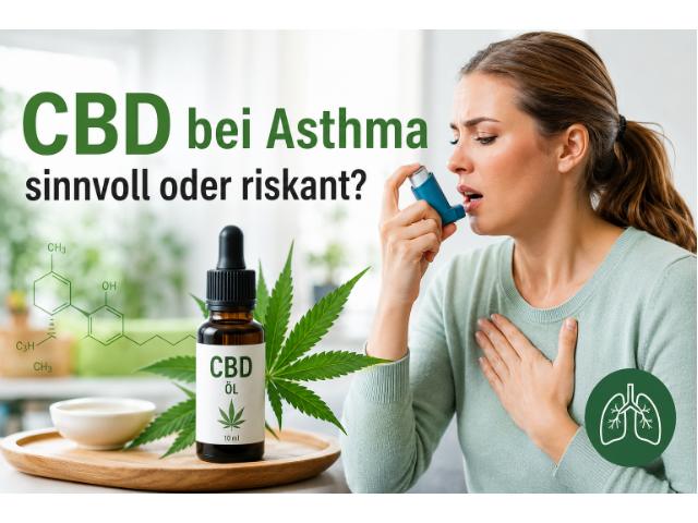 CBD bei Asthma sinnvoll oder riskant?