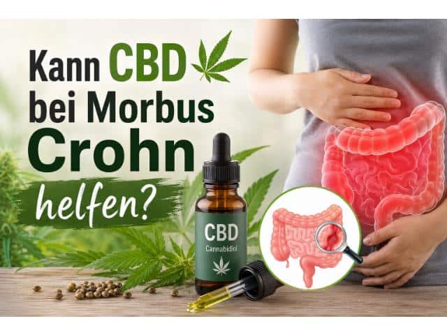 Kann CBD bei Morbus Crohn helfen?