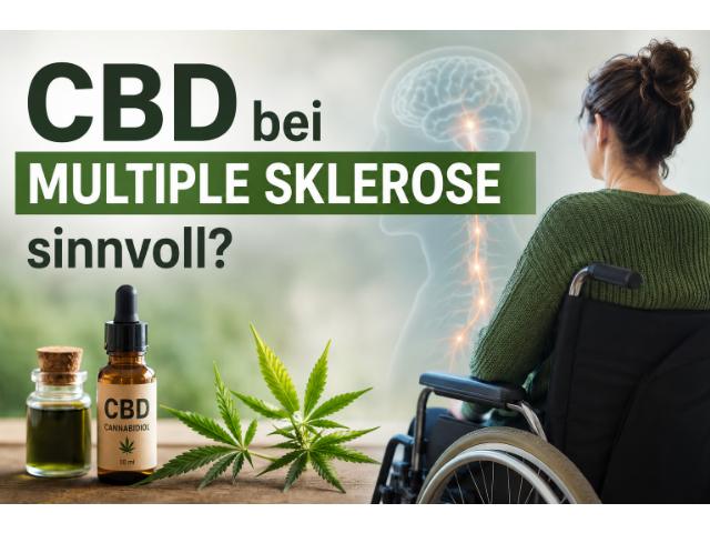 CBD bei Multiple Sklerose sinnvoll?