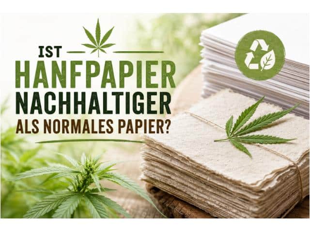 Ist Hanfpapier nachhaltiger als normales Papier?