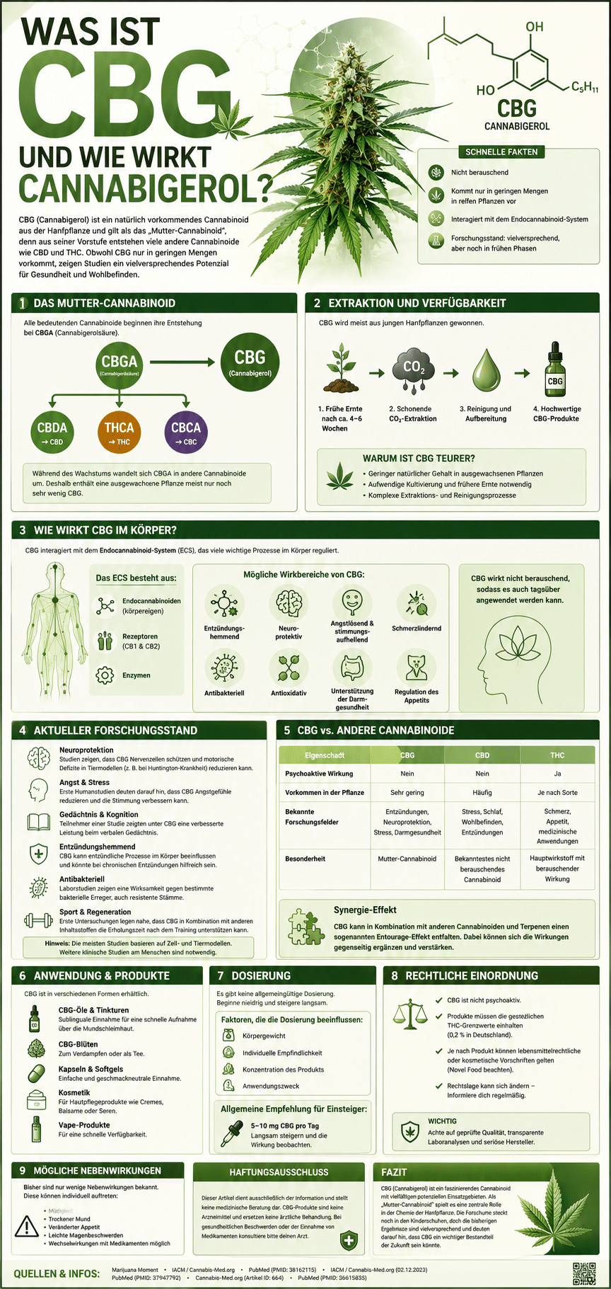 Was ist CBG und wie wirkt Cannabigerol?