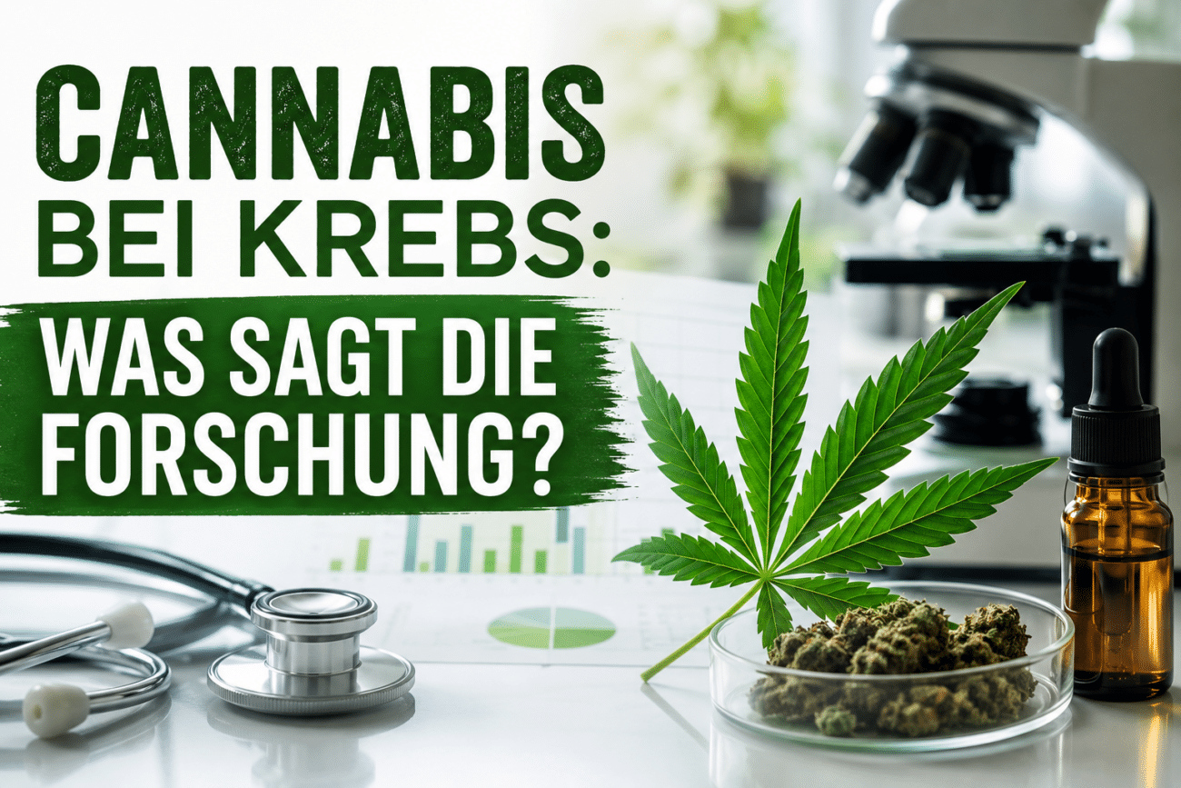 Cannabis bei Krebs: Was sagt die Forschung?