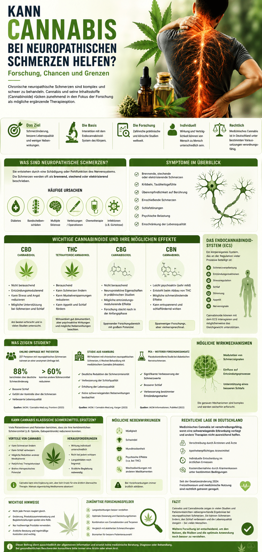 Kann Cannabis bei neuropathischen Schmerzen helfen?