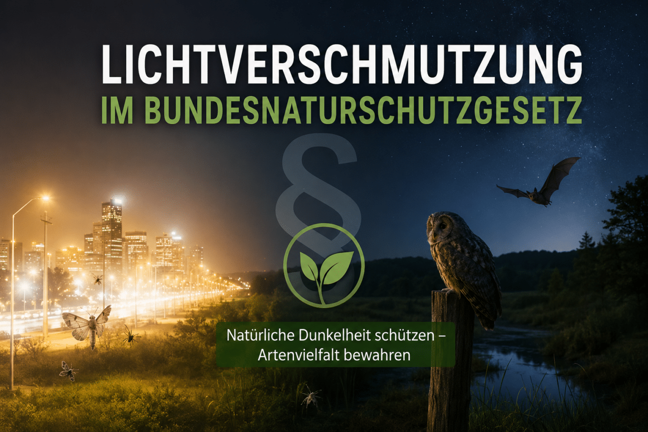 Lichtverschmutzung im Bundesnaturschutzgesetz