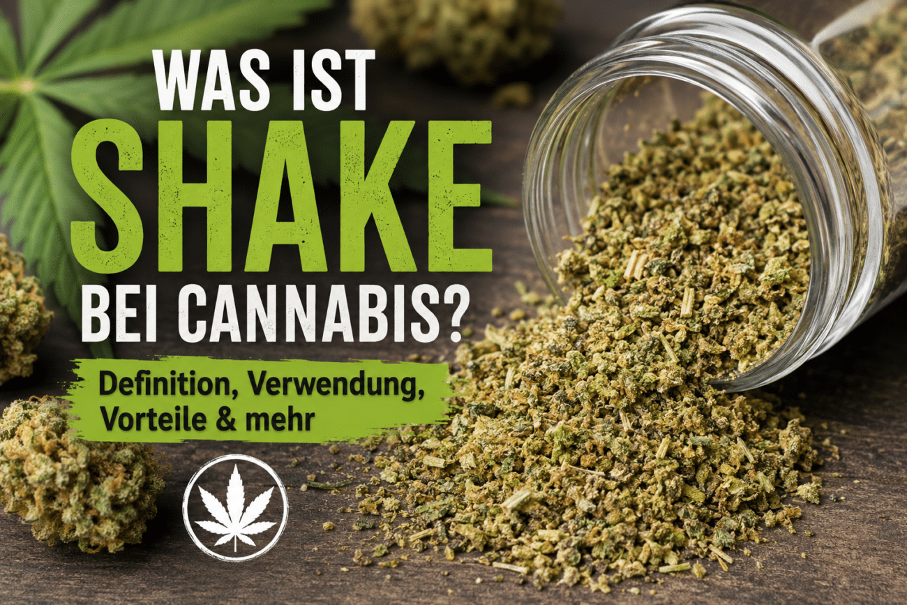 Was ist Shake bei Cannabis?