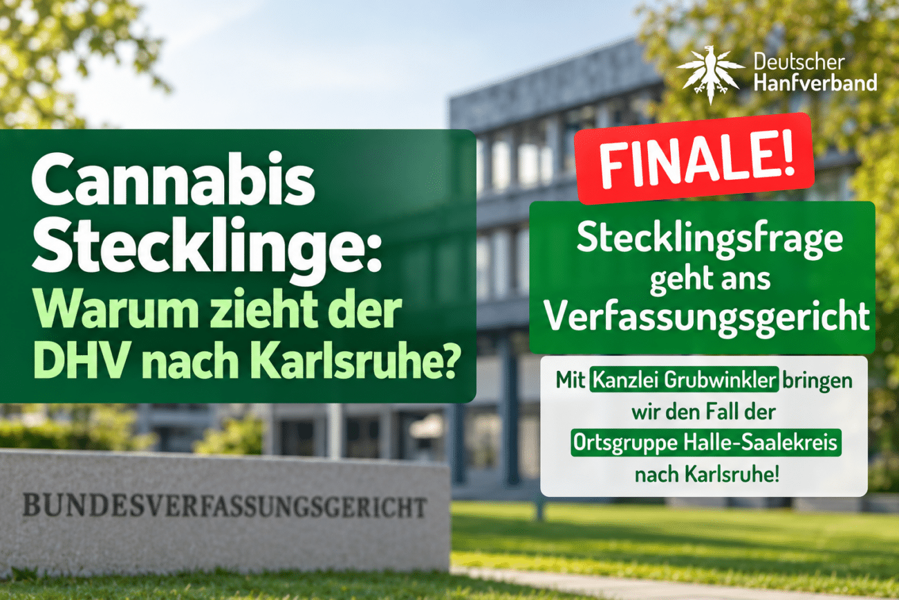 Cannabis Stecklinge: Warum zieht der DHV nach Karlsruhe?