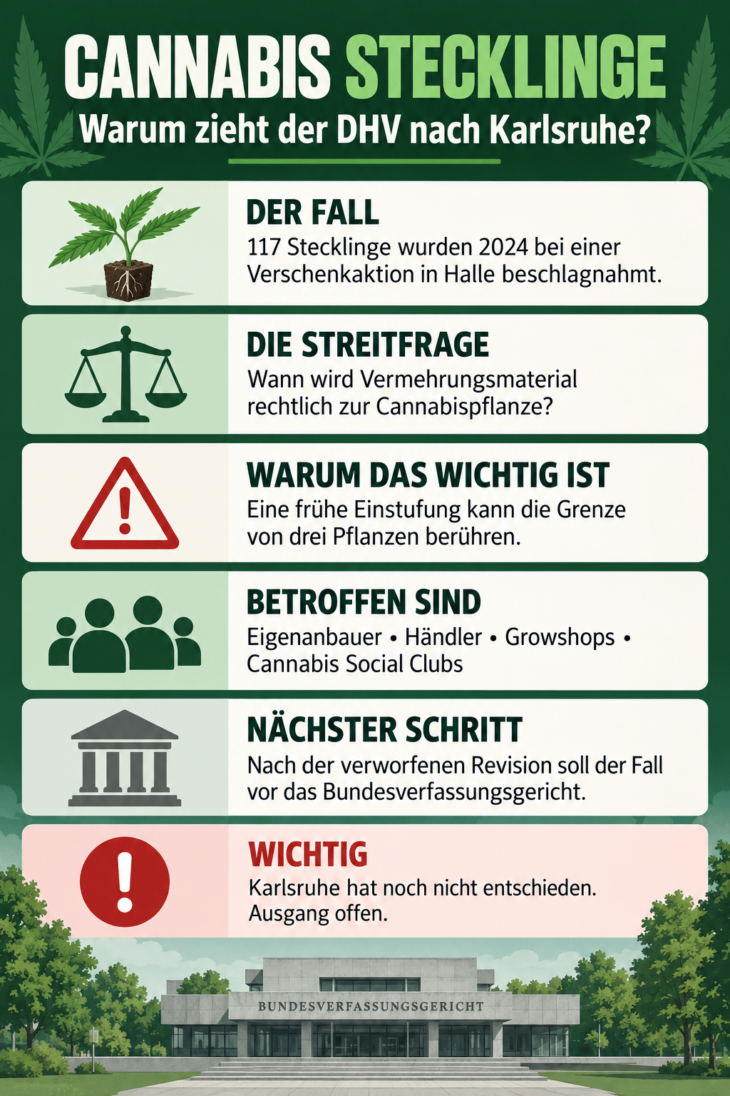 Cannabis Stecklinge: Warum zieht der DHV nach Karlsruhe?