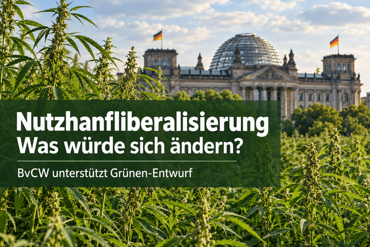 Nutzhanfliberalisierung jetzt! Was fordert der BvCW?